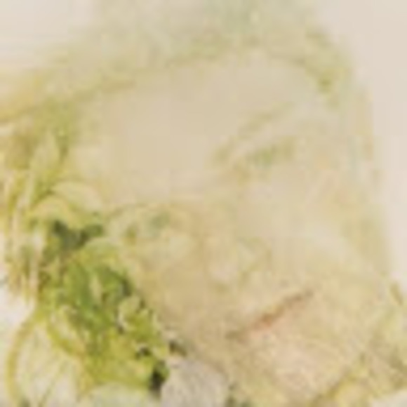 Meet your Posher, Wanda - Picture 1 of 1